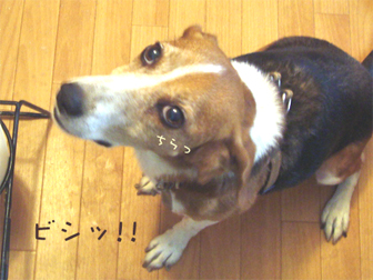 c0086746_17544185.jpg