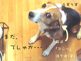 c0086746_17545716.jpg