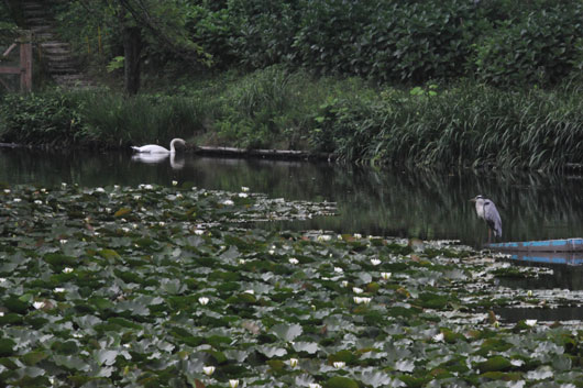 c0093046_640201.jpg