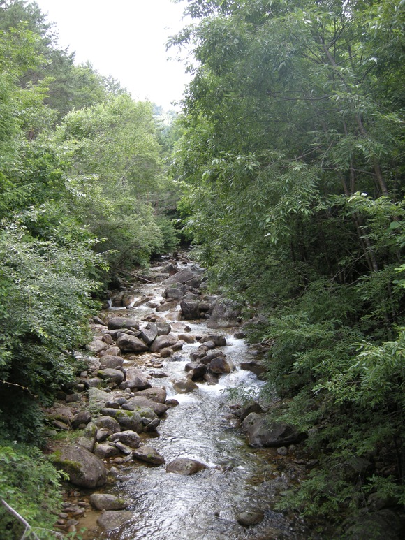 a0215155_7115911.jpg