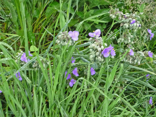b0045357_8162463.jpg