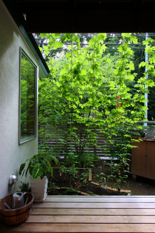 b0066260_23357100.jpg