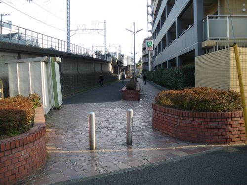 b0206463_18592420.jpg