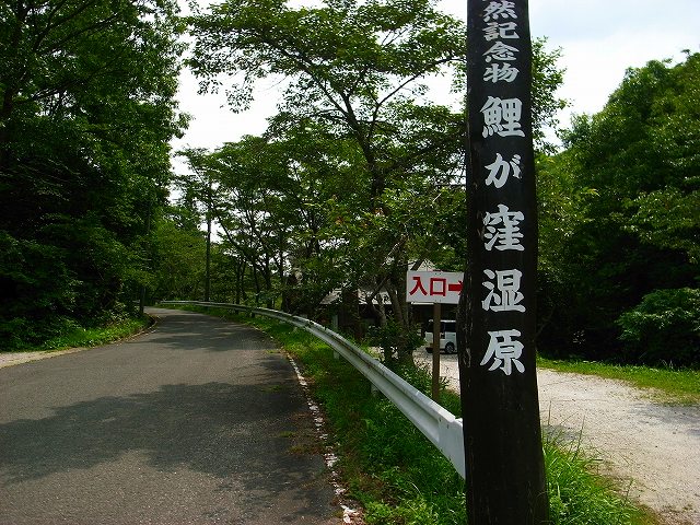 755-20110801　鯉ヶ窪湿原　（岡山県新見市）_d0128465_9343390.jpg