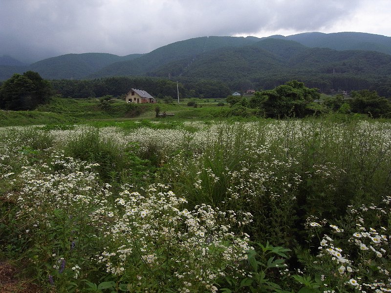 b0084270_2135175.jpg
