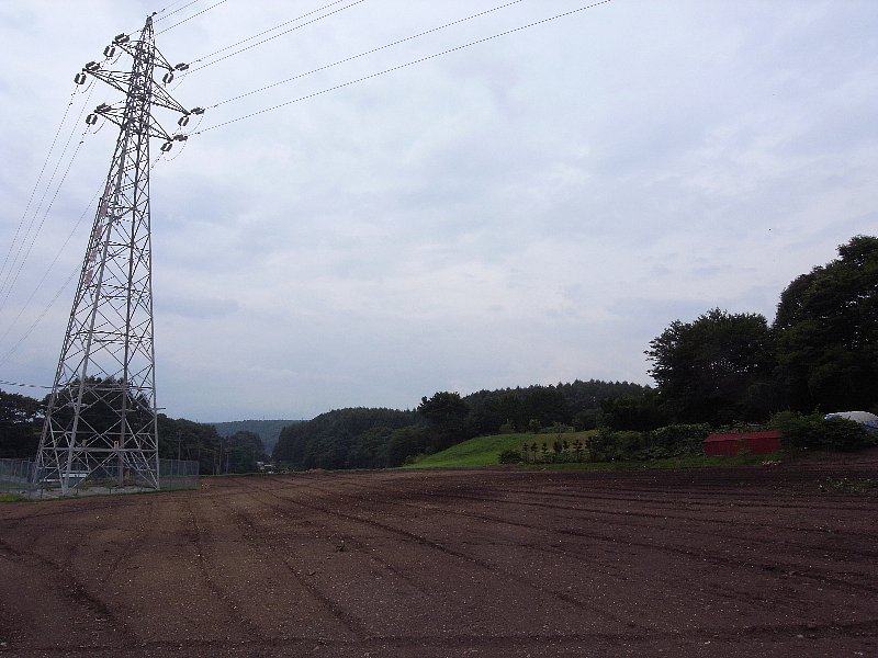 b0084270_21372157.jpg