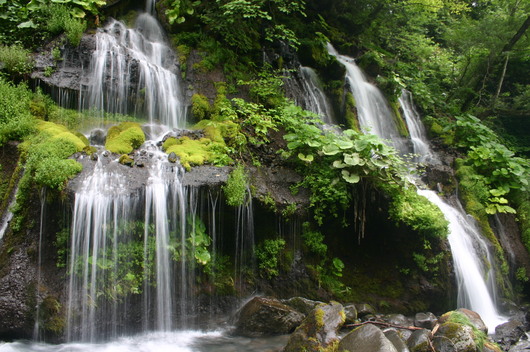 b0154874_16153281.jpg