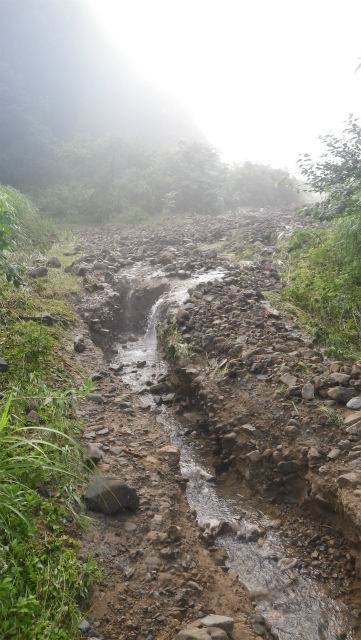 坂戸山の土砂崩れ。_e0151874_1061411.jpg