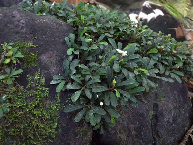 a0067578_167394.jpg
