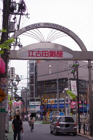 c0182782_1459249.jpg