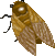 b0136683_727394.gif