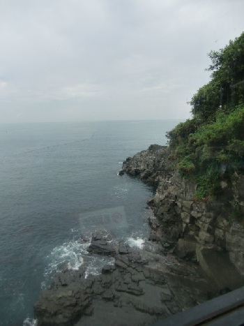 b0207284_1592471.jpg