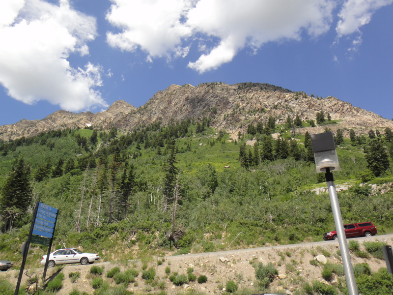 2011/07/29 アメリカ・トリップ Wasatch National Forest Day.9_b0220886_15465319.jpg