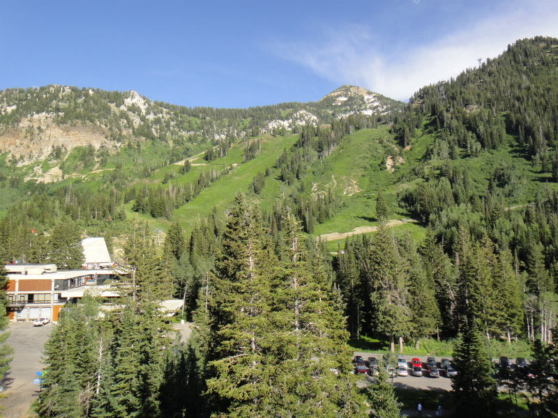 2011/07/29 アメリカ・トリップ Wasatch National Forest Day.9_b0220886_1549442.jpg
