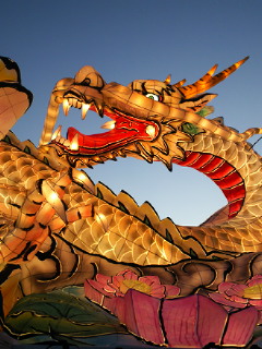祝・初陣_a0134394_9423094.jpg