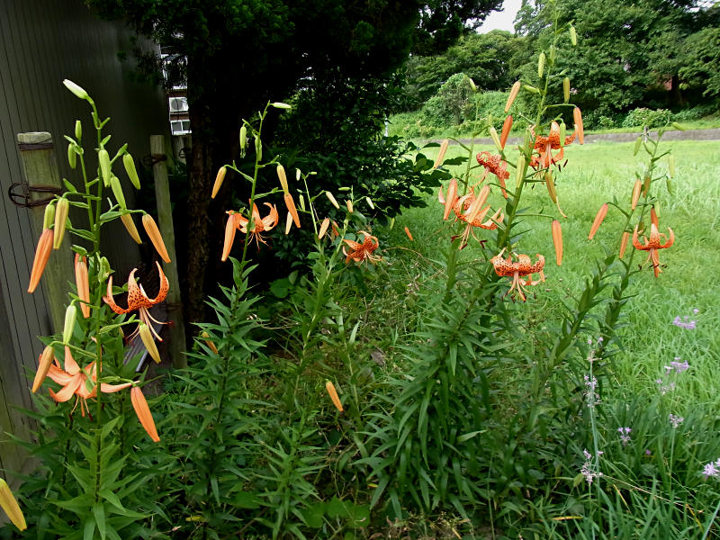 f0204094_861361.jpg