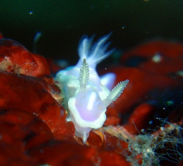 f0238795_22494820.jpg