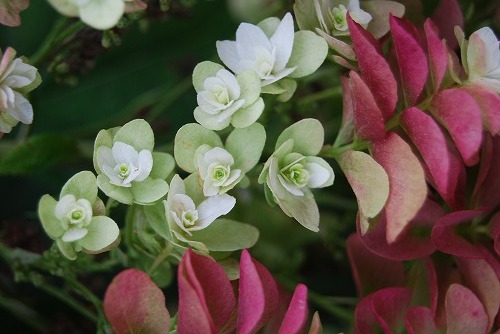 c0124100_15201919.jpg