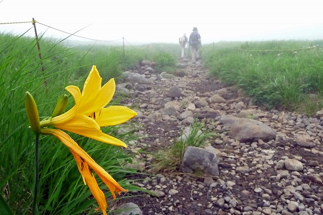 e0137200_20172956.jpg