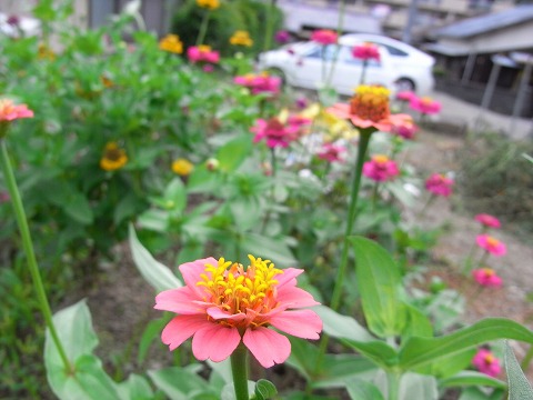 f0187402_2314235.jpg