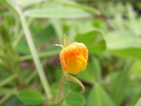 f0187402_2323788.jpg