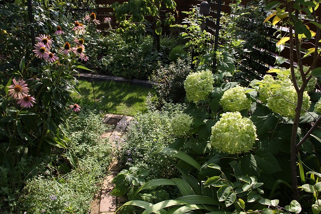 a0123003_11413545.jpg