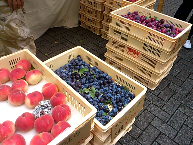 f0221204_921343.jpg