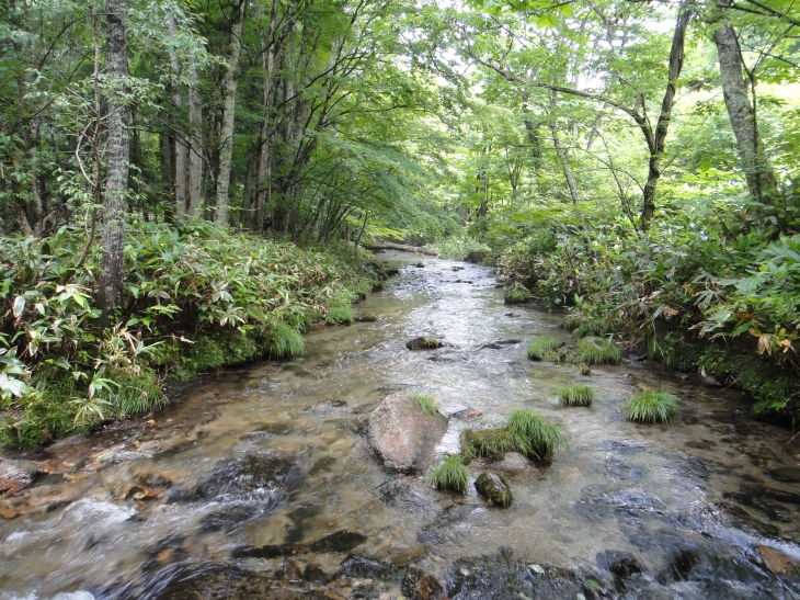 b0172805_754575.jpg