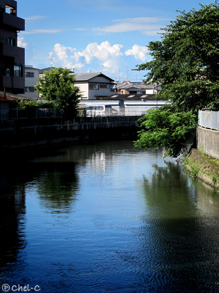 a0154706_200535.jpg