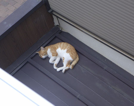 アトリエ蒼通信213 2011年8月2日(火 ) _b0129807_22283272.jpg