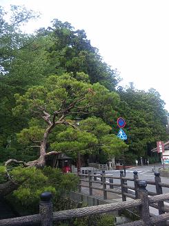 大人の夏休み その1_f0042307_19434773.jpg
