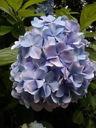 大人の夏休み その1_f0042307_19442878.jpg