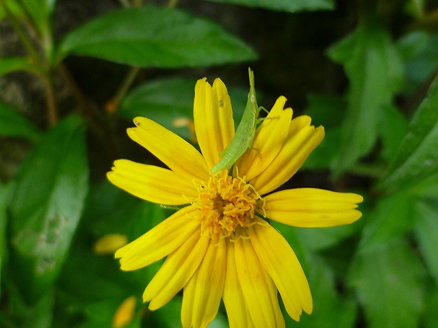 d0037110_2142553.jpg