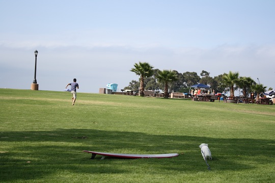 a0112911_13232940.jpg