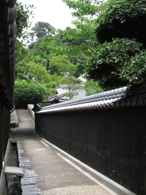 a0129311_0412980.jpg