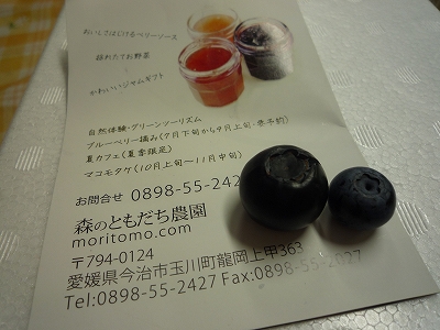 b0223711_10423784.jpg