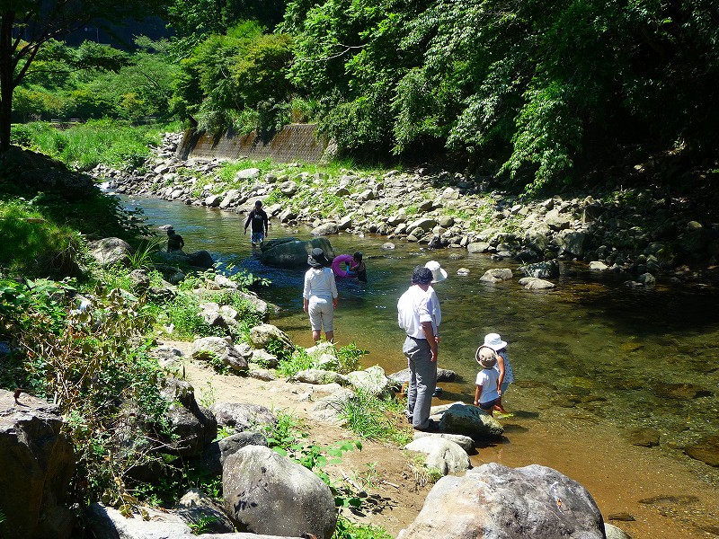 f0182513_234593.jpg