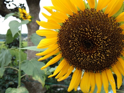 c0146714_2242597.jpg