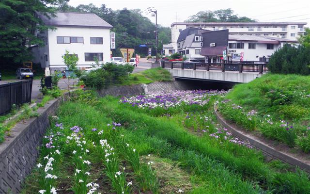 北海道自助旅行 (上)_d0187917_134314.jpg