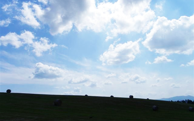北海道自助旅行 (中)_d0187917_23495076.jpg