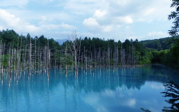 北海道自助旅行 (中)_d0187917_23585489.jpg
