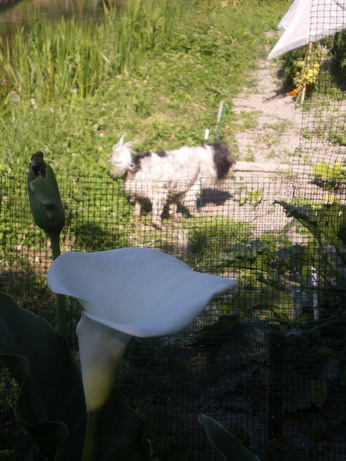 c0124619_15184742.jpg