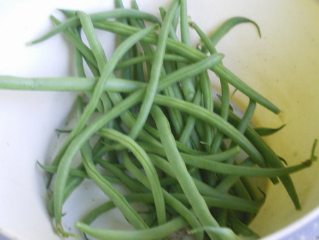 c0124619_1523821.jpg