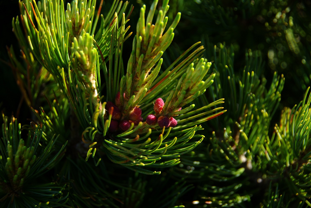 b0062024_7561871.jpg