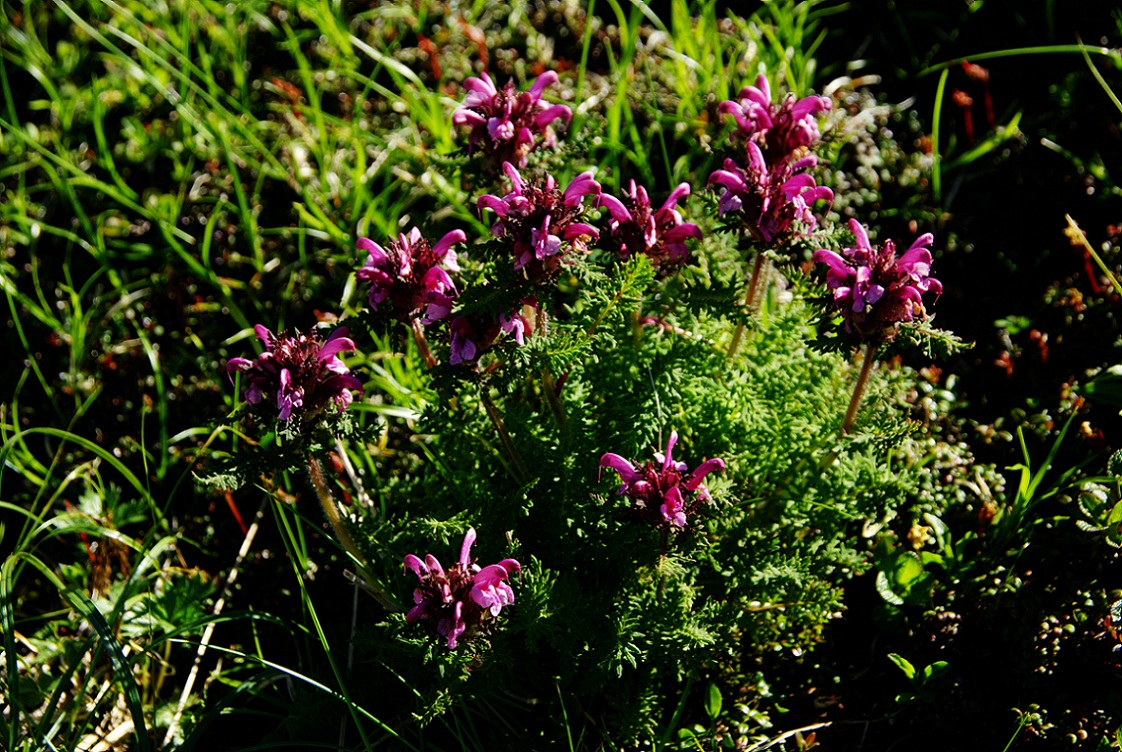 b0062024_812329.jpg