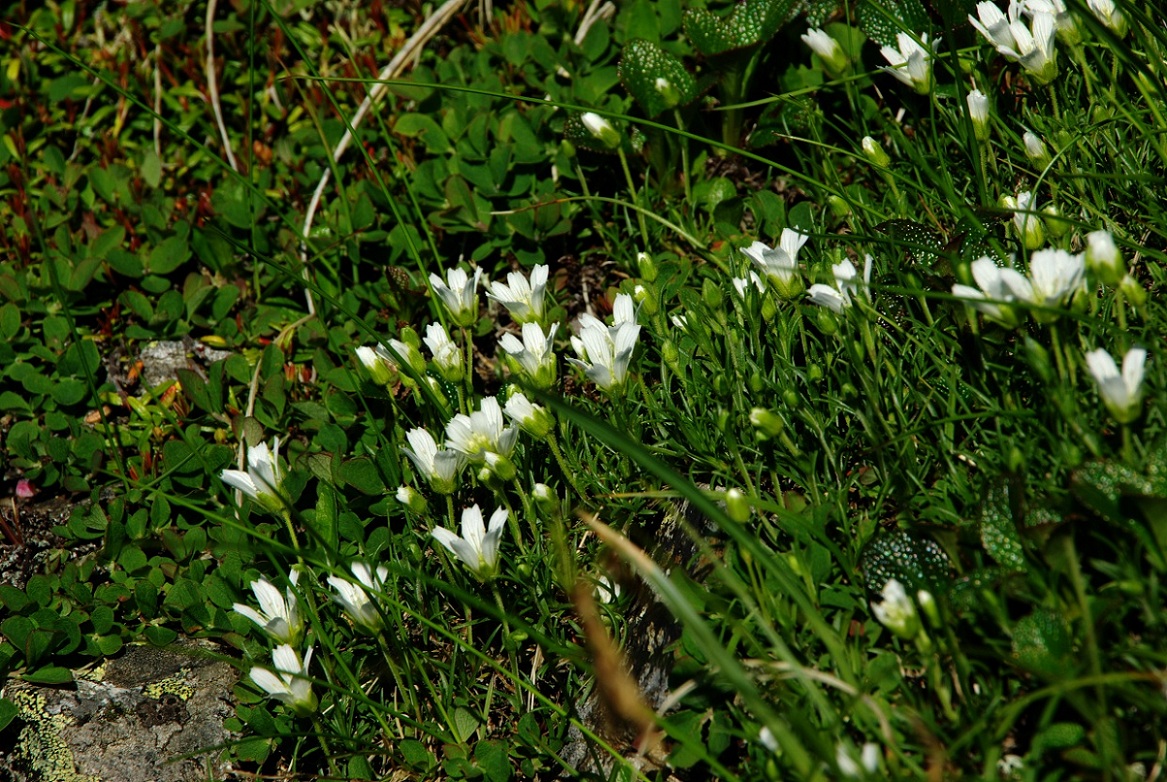 b0062024_821954.jpg