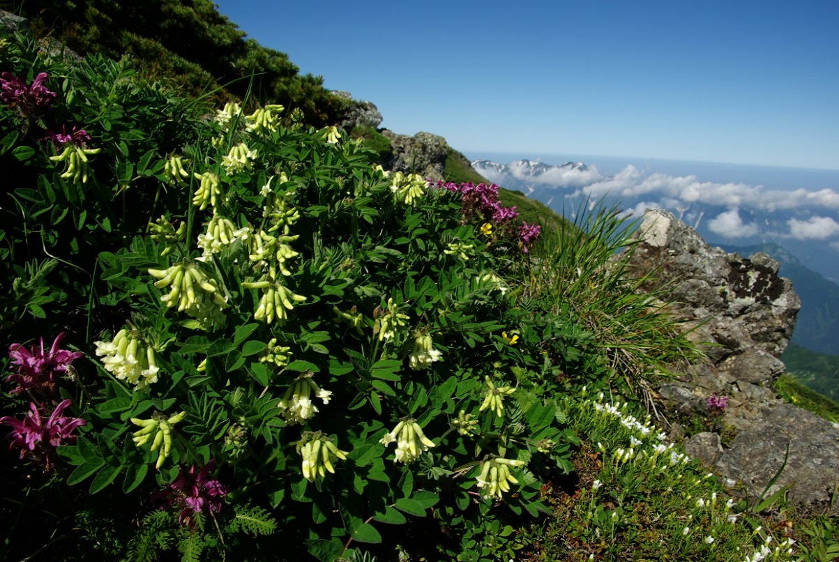b0062024_8254859.jpg