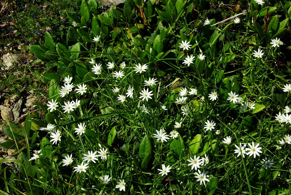 b0062024_830516.jpg