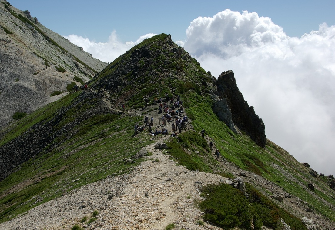 b0062024_83835.jpg