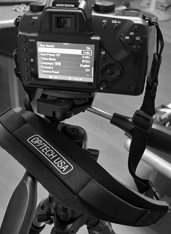 SIGMA SD15 使用感 : しゃしん三昧 ~趣味カメラ、レクサス SIGMA SD15 使用感 : しゃしん三昧 ~趣味カメラ、レクサス